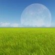 Moon and spring green meadow. Wind grass