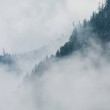 White clouds of fog over woods in mountains, Palfau, Austria.